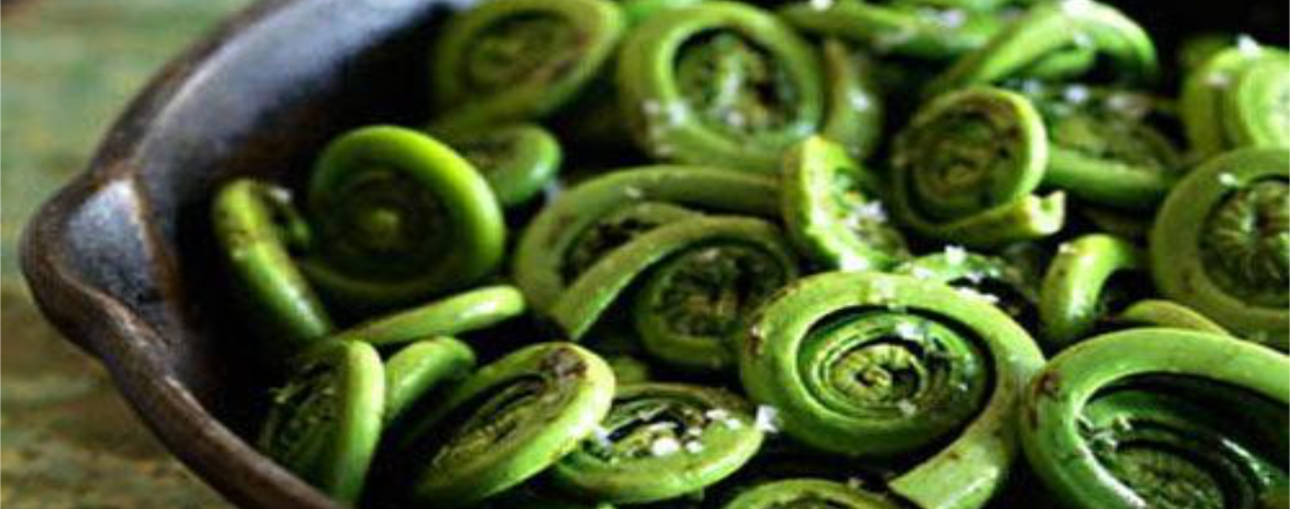 Fiddleheads